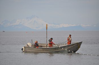 United Fishermen of Alaska: Governor cheers commercial losses on Facebook Alaska Cook Inlet setnetters make up a historic fishery and fleet. Amy Grannum photo.