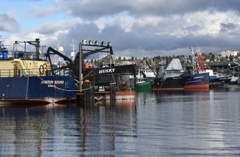 Port of Seattle seeks growth in technology Boats tied up at Fishermen's Terminal, Seattle. Doug Stewart photo.
