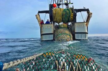 Responsible Fisheries Management: Alaska’s certification program will go it alone The trawler Dawn from Kodiak, Alaska, catching pollock. Photo by Brittany McCabe.