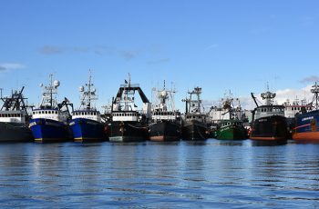 Expo News: Tracking trends in commercial fishing to build a stronger community A full dock at Fishermen's Terminal in Seattle is a reminder of the fleet's value to the local economy. Doug Stewart photo.