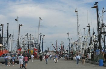 Food security starts at sea Members of the public explore the docks of New Bedford during a past edition of the city's annual Working Waterfront Festival. Image courtesy New Bedford Working Waterfront Festival.