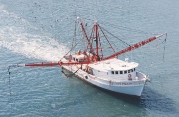 NC Marine Fisheries Commission faces lawsuit for evading public meeting laws define North Carolina Division of Marine Fisheries photo.