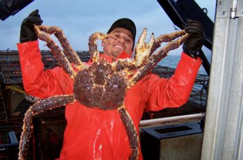 King crab and closures: Alaska proposes $1 million in commercial fisheries cuts Crew_Shots_King_crab_Henry_Perales