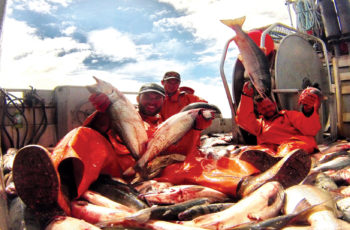 Pilothouse Log: Minding the mine
