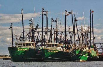 New Bedford auction owners withdraw offer for Carlos Rafael boats Some of Carlos Rafael's boats tied up in New Bedford. Photo by Flickr user Neal Wellons.