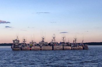 On Pebble: Maybe I’ve had it wrong Salmon boats lined up in Bristol Bay. Katherine Carscallen photo.