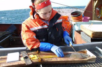 NMFS waives observer requirements temporarily