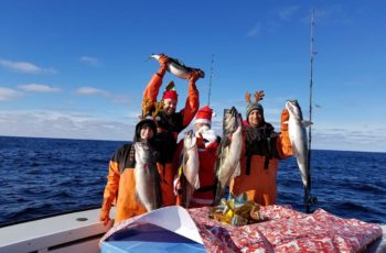 Buy Local Fish Merry Fishmas
