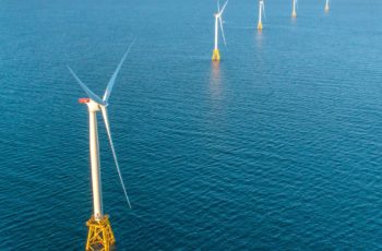 Power of science: Alliance will call for fisheries-focused wind power research Deepwater
