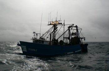 Stutes: Alaska’s Fish and Game budget is a top priority