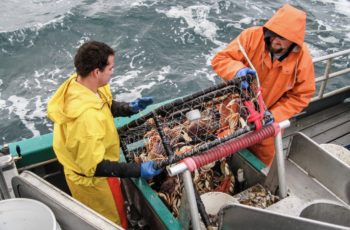 Central California Dungeness opens, but Northwest awaits 2020