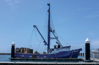 Boat of the Month November 2018: Mary Lu