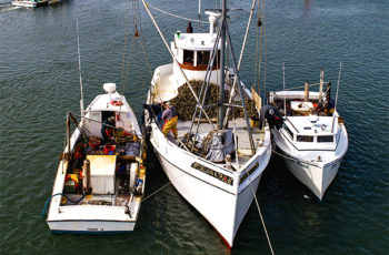 Feature: Last of the buy boats