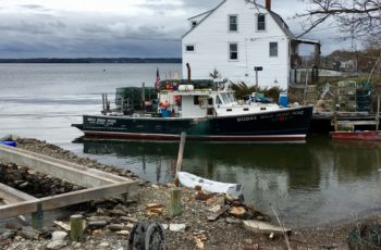 Boat of the Month January 2019: Wild Irish Rose