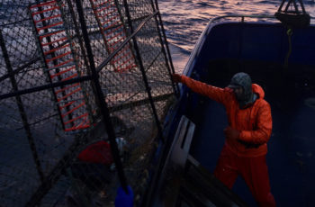 Dock Talk: Gulf of Alaska cod exemplifies commitment to sustainability