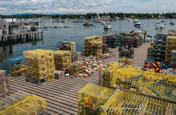Why local fisheries matter — with or without a global pandemic