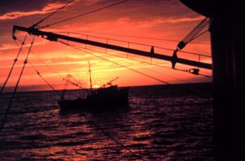 South Carolina shrimpers start their season earlier than usual
