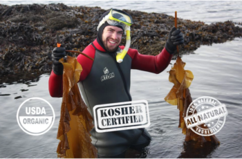 Seaweed matters: Eat your vegetables