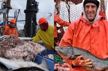 Americans are loving seafood