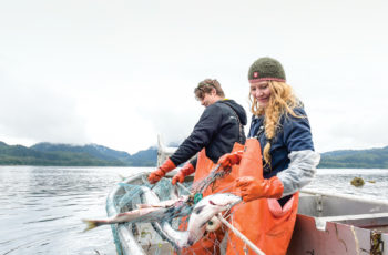 Catch 49 keeps it fresh Quality handling is more important than ever across the Alaska seafood industry. Blythe Thomas photo.