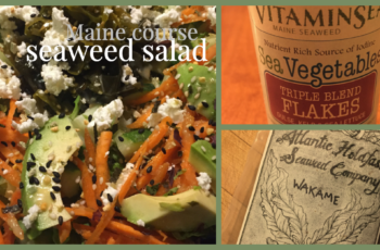 Seaweed matters: Seaweed salad, the entrée Seaweed Salad