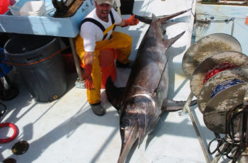 West Coast swordfish landings hit slight dip in 2018