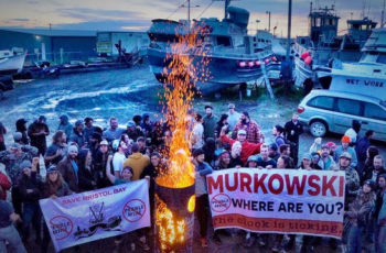 Murkowski questions data gaps on Alaska’s Pebble Mine Fishermen Against Pebble