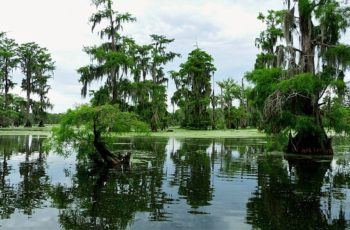 Gulf fishermen petition for FEMA seafood disaster