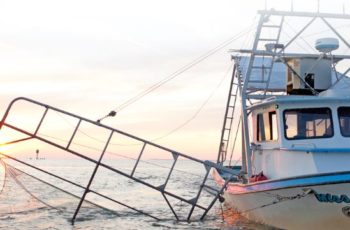 High water, spillway openings take toll on Louisiana harvests Louisiana landings of shrimp and other species or down sharply with high water and Mississippi River spillway openings this spring. Louisiana Department of Wildlife and Fisheries photo
