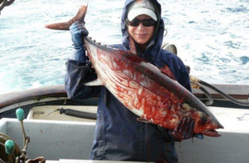 Albacore tuna: West Coast landings hit a 20-year dip F/V Princess albacore tuna