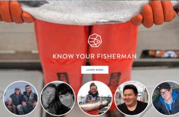 Pebble Corp: Bristol Bay brand does not exist