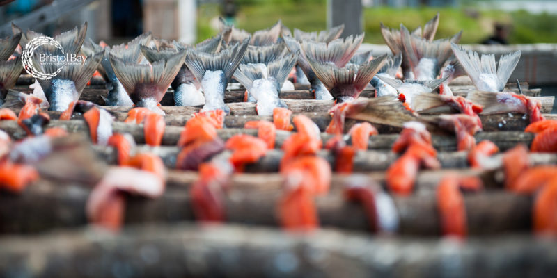 Pebble hearing: CEO denies insider trading - National Fisherman