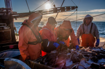 Do you want better fishery data? NOAA is taking notes