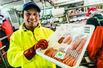Slow Fish Webinar: Boat to Throat Pollock roe