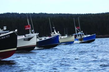 Big turnout at Winter Harbor, and nearly a disaster The Winter Harbor lobster boat races were crowded with 167 boats Aug. 10. Jon Johansen photo.