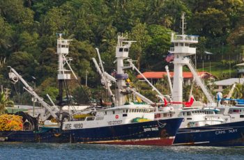 StarKist hit with $100 million fine for tuna price fixing Tuna boats at Pago Pago in American Samoa. Greenpeace photo.