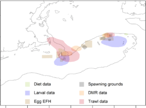 The New England council is taking first steps to identify offshore herring spawning areas for future protection. NEFMC graphic.