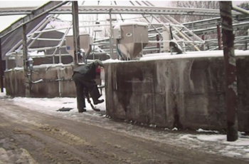 Undercover activists claim animal abuse at Maine salmon hatchery The vegan activist group Compassion Over Killing submitted photos to state officials which it says show Cooke Aquaculture workers killing fish by slamming them to the ground and stomping. COK photo.