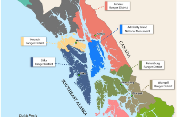 Forest Service proposes logging in salmon habitat