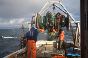 Study documents ‘chronic social disruption’ plaguing New England fishing communities Cod fishing in the Gulf of Maine. Gulf of Maine Research Institute photo.