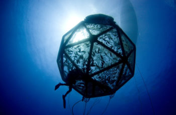 First offshore aquaculture farm proposed for Gulf of Mexico Kampachi Farms has used its Aquapod net pen design in a series of experiments testing offshore aquaculture methods. Kampachi Farms photo.