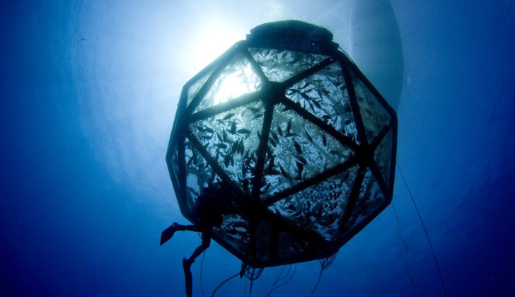 First offshore aquaculture farm proposed for Gulf of Mexico Kampachi Farms has used its Aquapod net pen design in a series of experiments testing offshore aquaculture methods. Kampachi Farms photo.