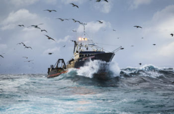 State will open small Alaska cod fishery Bering Sea trawlers like the Alaska Knight will be able to catch cod in 2020, but the Gulf of Alaska will be closed except for a small state waters fishery. Corey Arnold photo.