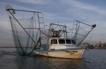 NOAA finalizes TED rule for shrimp skimmer trawls The Louisiana shrimp boat Miss Nan. Louisiana Department of Fish and Wildlife.