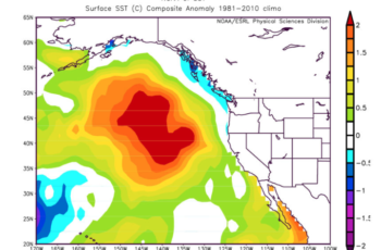 The Blob returns: Alaska cod fishery closes for 2020 "The Blob" of 2014 severely depressed the Gulf of Alaska cod population. NOAA image.