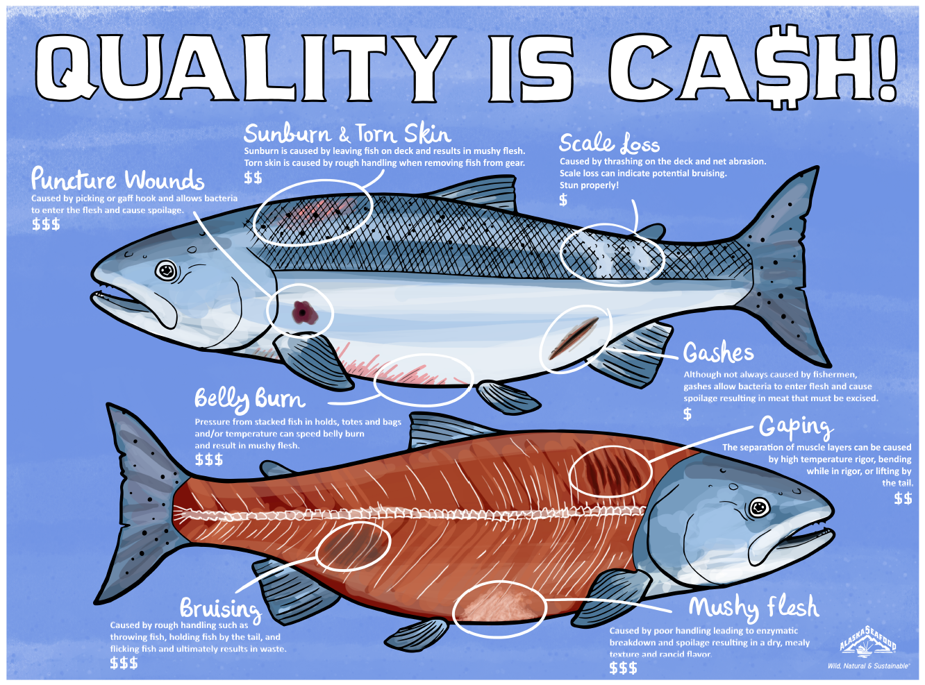 Alaska’s commitment to quality