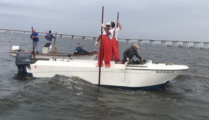 Long road to relief: Mississippi oystermen slated for $1 million in disaster checks