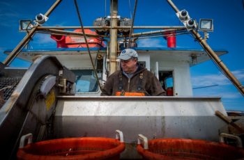 New England council puts out Amendment 23 proposals Captain Christopher Brown on the Proud Mary out of Rhode Island sorts sorts fish under electronic monitoring cameras. Photo by Ayla Fox/Nature Conservancy.