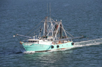 Bodies recovered from capsized Texas shrimp boat The 81-foot Pappy's Pride was heading out from Galveston to Key West, Fla. when it collided with a 600-foot chemical tanker in fog. ShipSpotting photo.