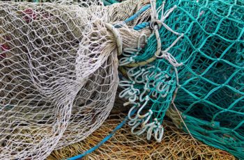 Marine medicine: Survival skills for commercial fishermen
